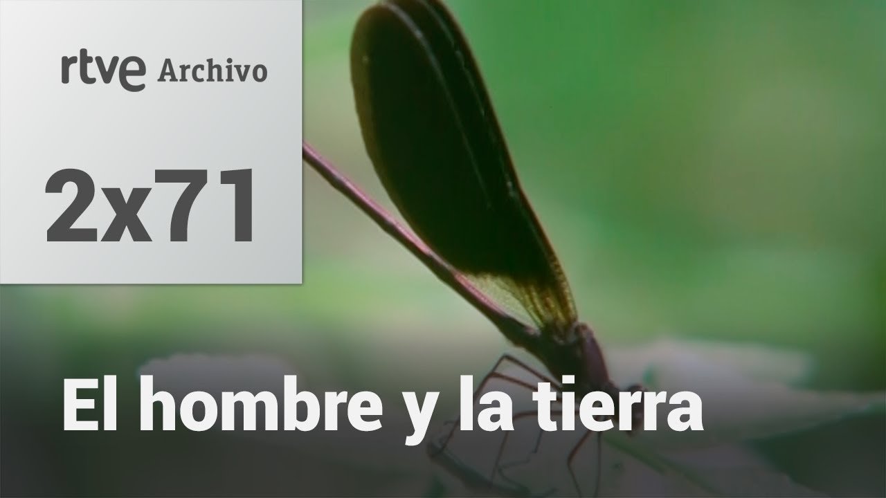 El hombre y la tierra: Capítulo 87 - El río viviente II | RTVE Archivo