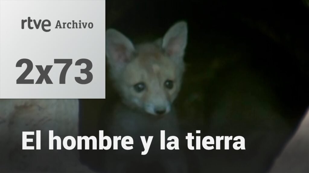 El hombre y la tierra: Capítulo 89 - Operación zorro II | RTVE Archivo