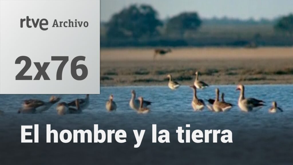El hombre y la tierra: Capítulo 92 - Parque nacional de Doñana I | RTVE Archivo