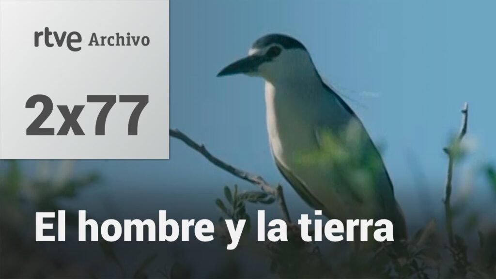 El hombre y la tierra: Capítulo 93 - Parque Nacional de Doñana II | RTVE Archivo