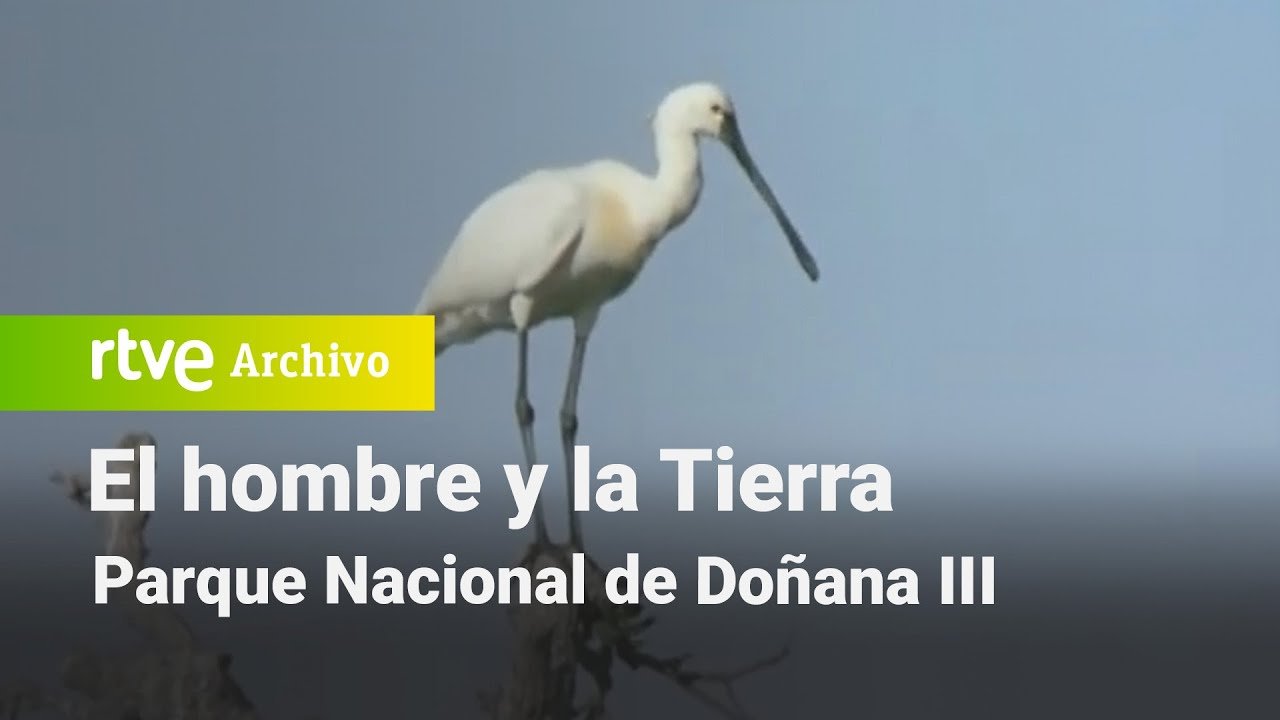 El hombre y la tierra: Capítulo 94 - Parque nacional de Doñana III | RTVE Archivo