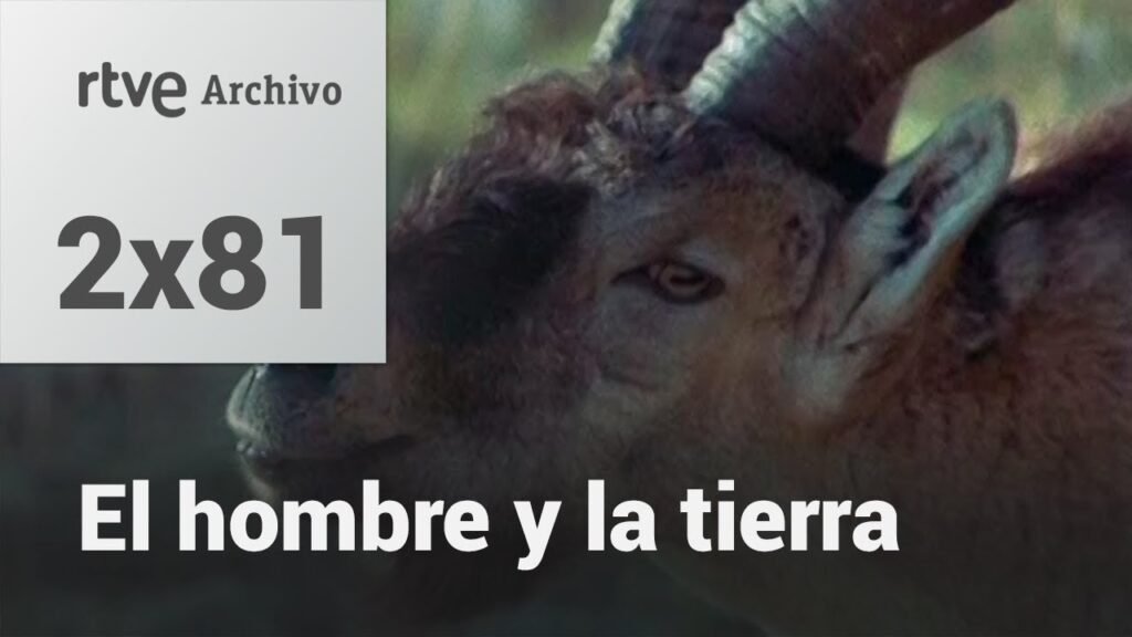 El hombre y la tierra: Capítulo 97 - Las sierras de Cazorla y Segura II | RTVE Archivo