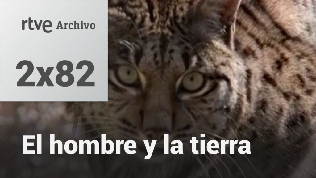 El hombre y la tierra: Capítulo 98 - El último lince | RTVE Archivo