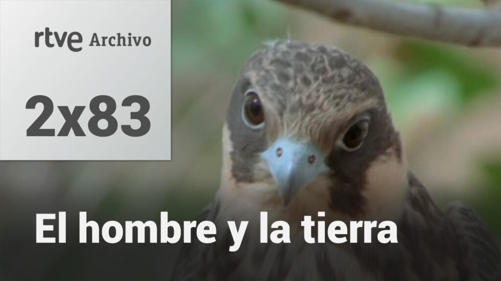 El hombre y la tierra: Capítulo 99 - Pequeños cazadores I | RTVE Archivo