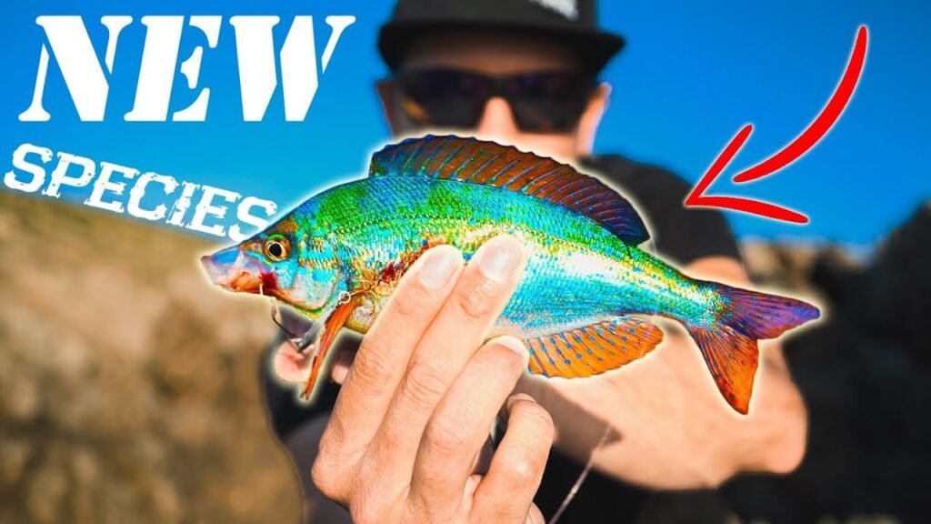 El MEJOR Día de ROCKFISHING del AÑO [10 AÑOS para esta NUEVA especie] | Lured Vlog 183