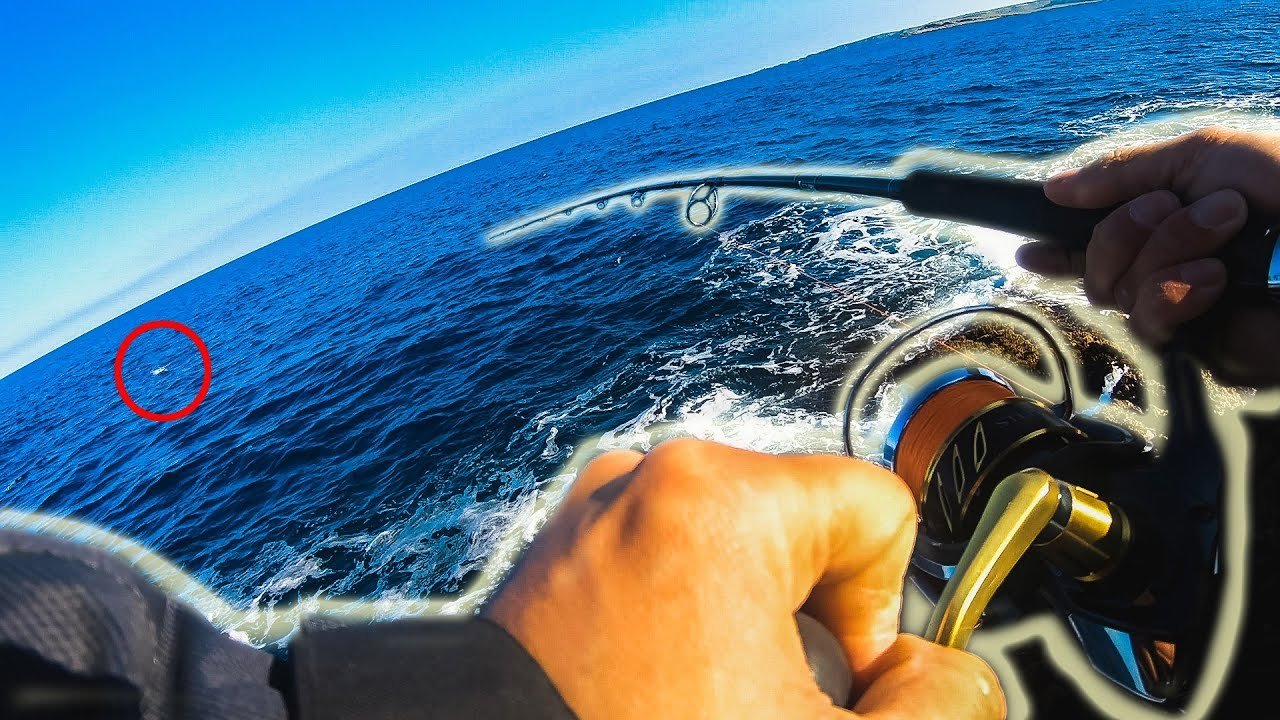 El PEZ de 4kg que he SACADO más RÁPIDO [Probando SEÑUELO] | Lured Vlog 130