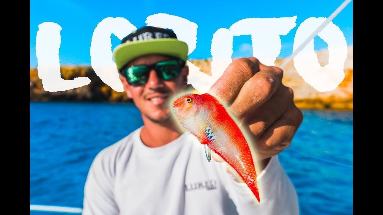 El PEZ MÁS CARO -   (Raor) con SEÑUELO ARTIFICIAL | Lured Vlog 104