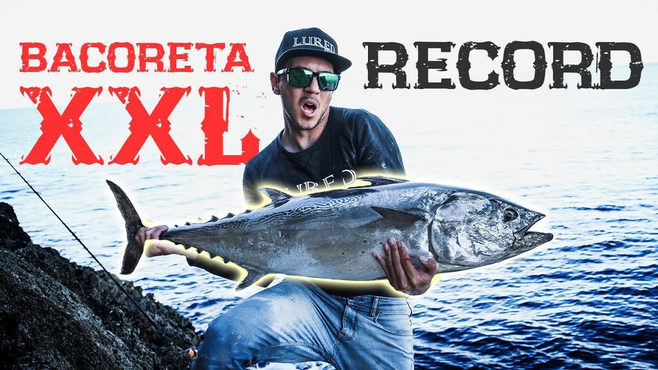 El PEZ MÁS GRANDE  de esta especie que he CAPTURADO [Mi BACORETA RÉCORD] | Lured Film