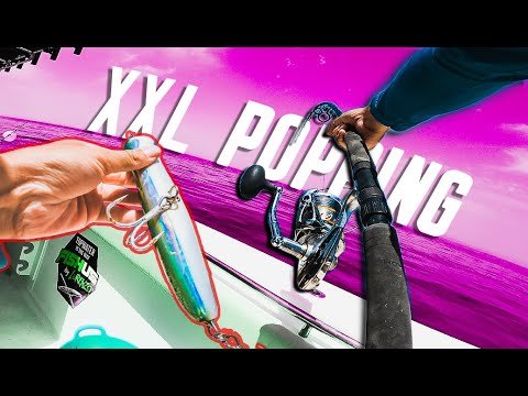 El PEZ MÁS GRANDE que me ha PICADO NUNCA Lured Vlog 187