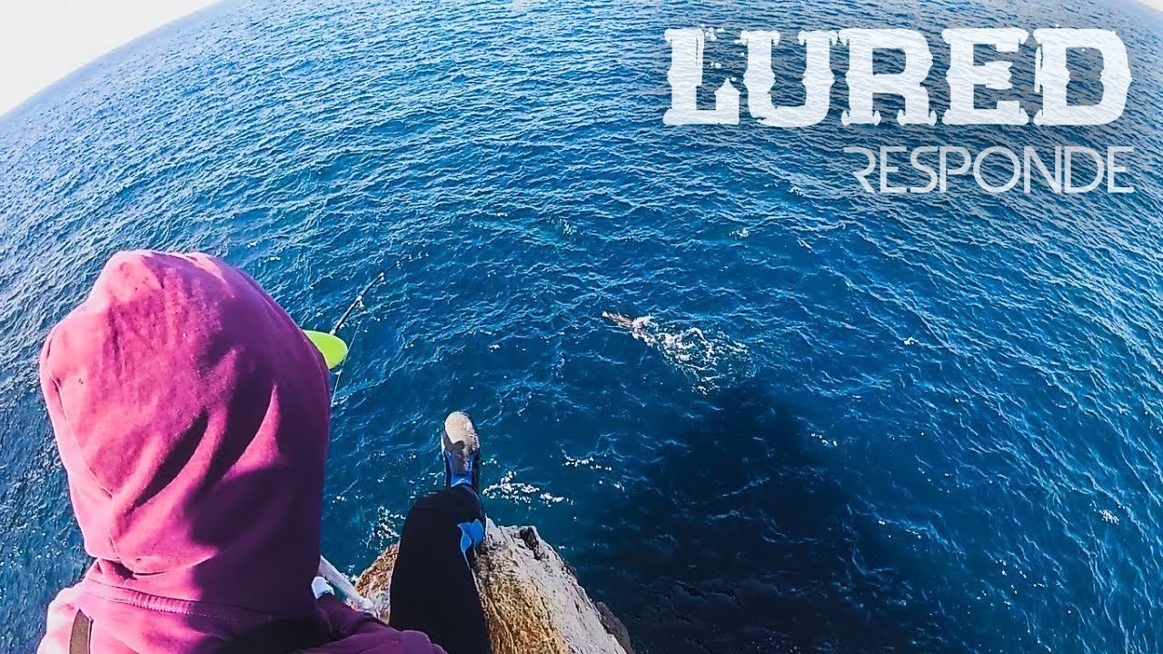 ¿El PEZ más INESPERADO? ¿CAÑA de RÍO en el MAR? | Lured Q&A #37