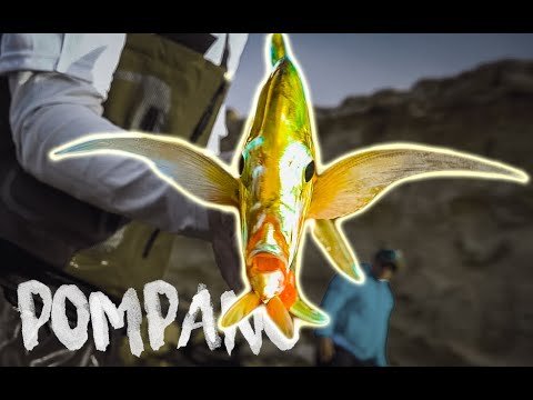 El PEZ más RARO (y bonito) [Pesca en Mauritania] | Capítulo