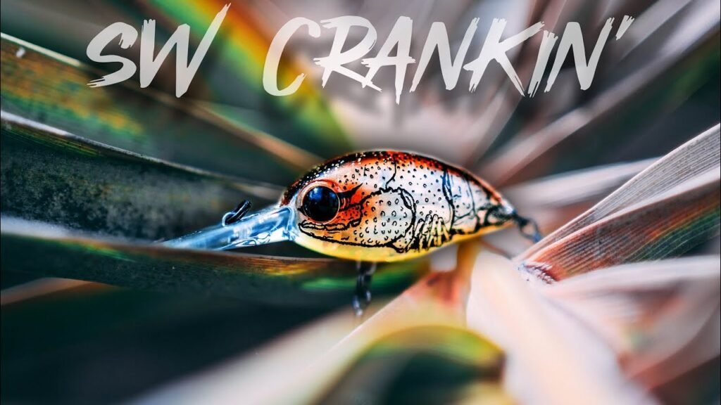 El Señuelo IMPOSIBLE de ENROCAR? [Cranking en agua SALADA]