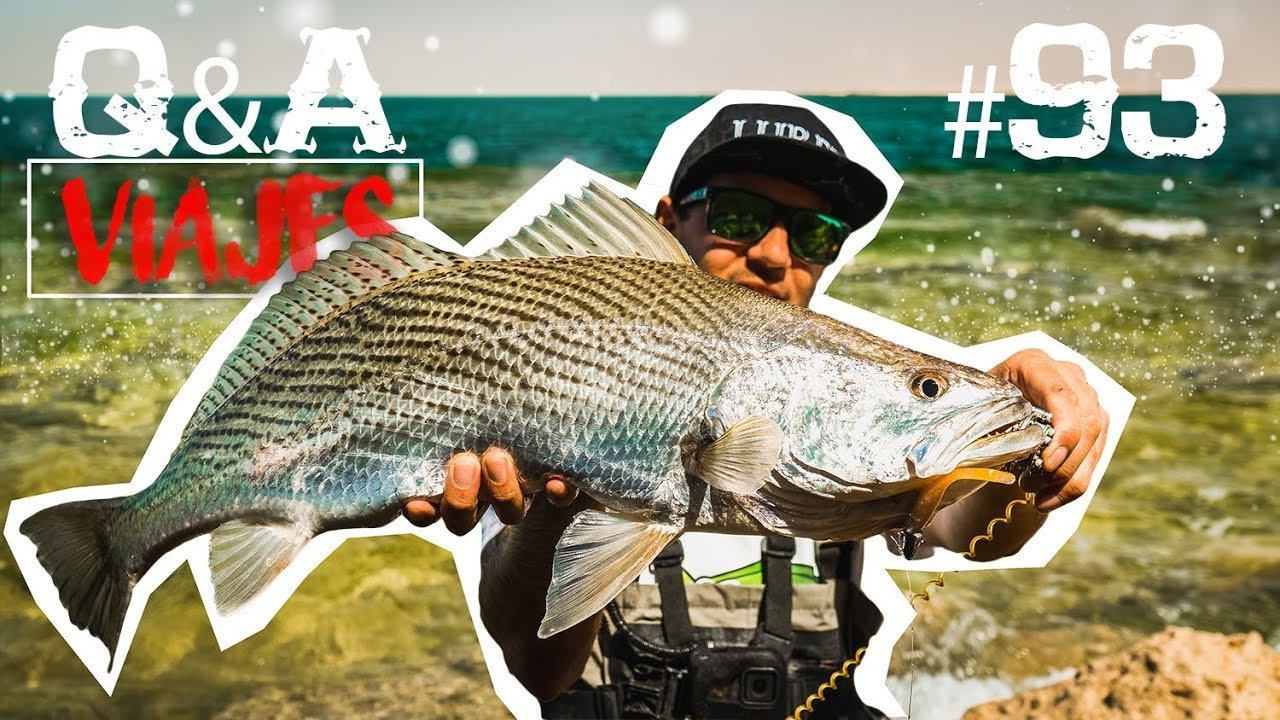 ¿ELEGIR EQUIPO para VIAJE? ¿LICENCIAS y PERMISOS de PESCA? | Lured Q&A #93 VIAJES DE PESCA