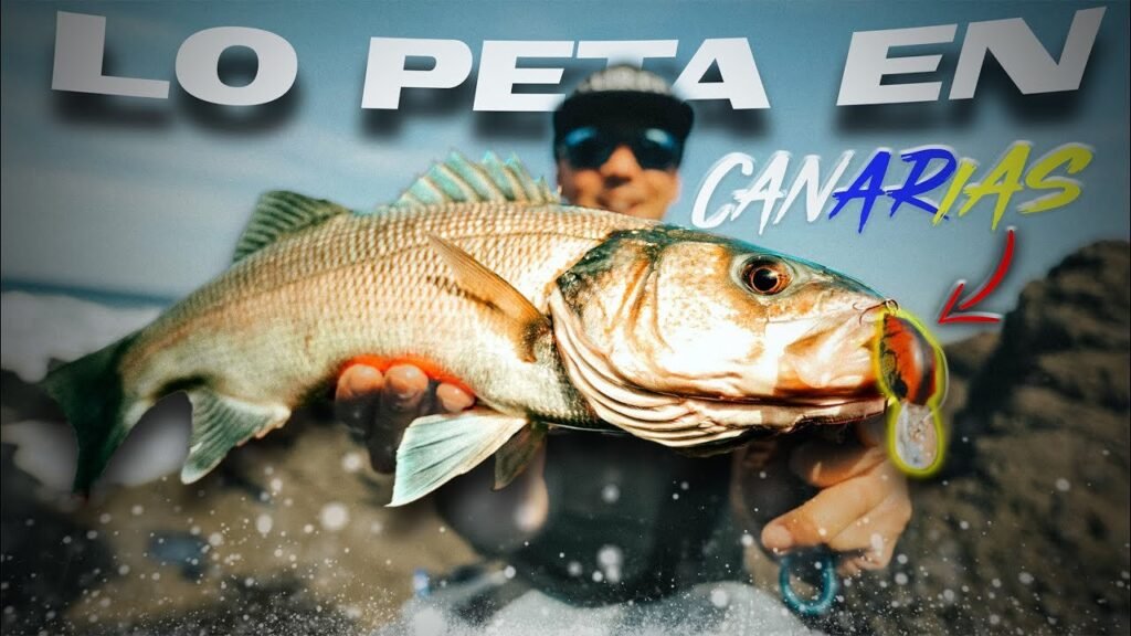 Especies IMPOSIBLES con este SEÑUELO? [Crankbait] | Lured Vlog 310