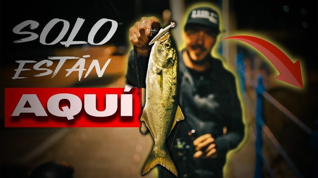 Estas ANJOVAS solo están AQUÍ