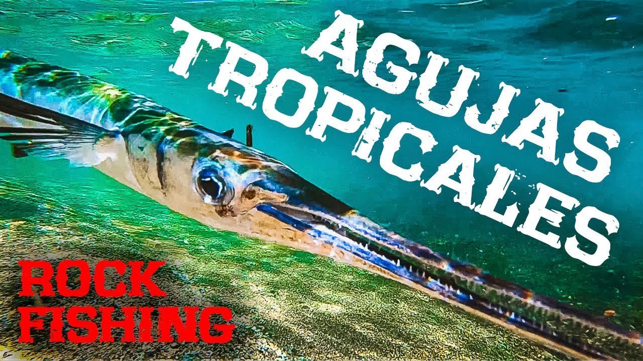 ESTO PASA cuando NO BUSCAS este PEZ [AGUJAS XXL a ROCKFISHING] | Lured Vlog 143
