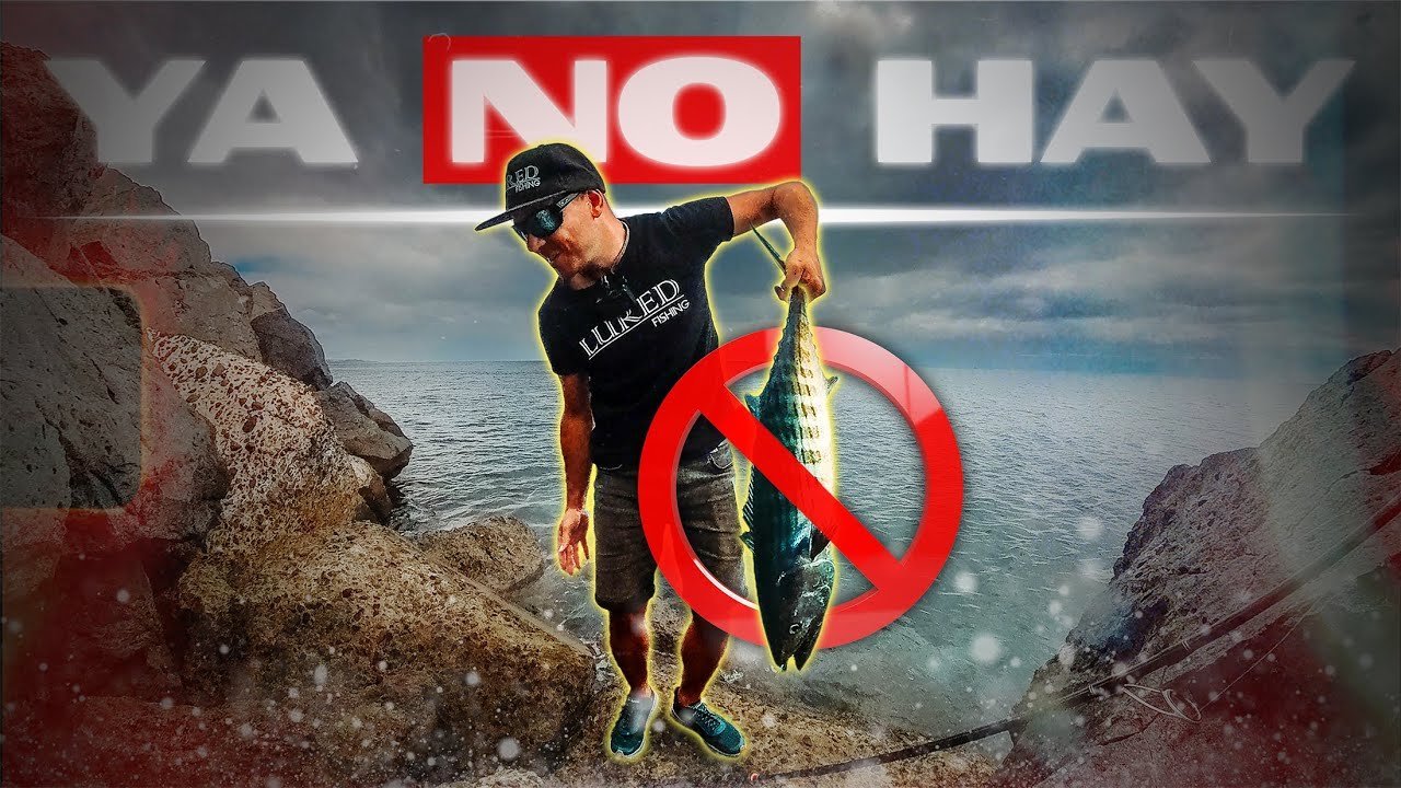 Estos peces DESAPARECIERON