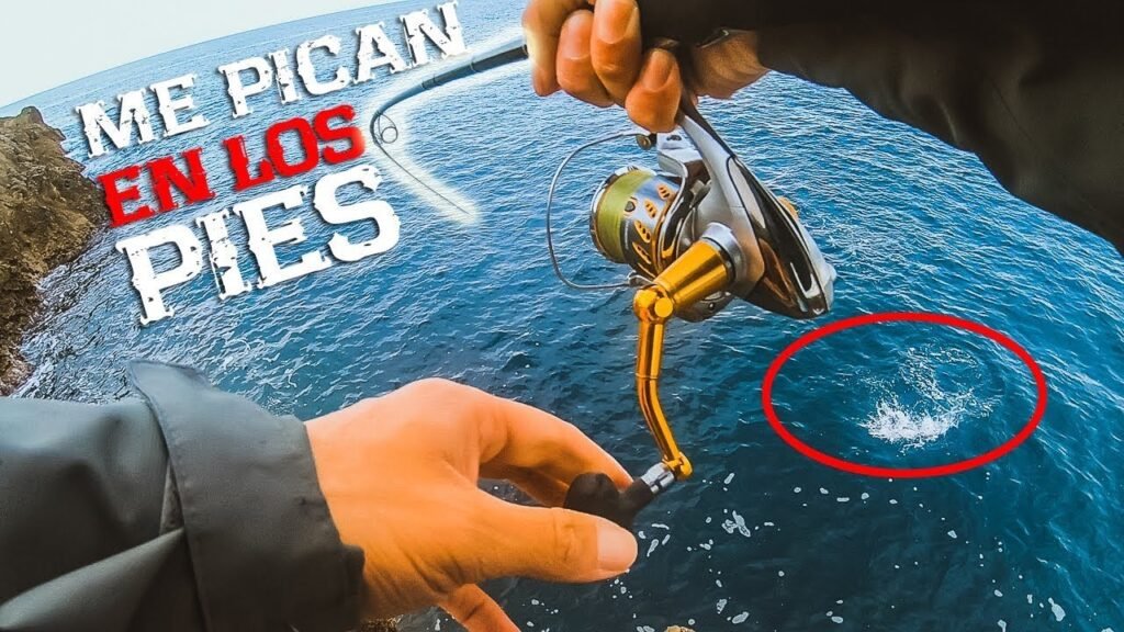 Estos PECES me PICAN a TODOS los SEÑUELOS!! | Lured Vlog 127