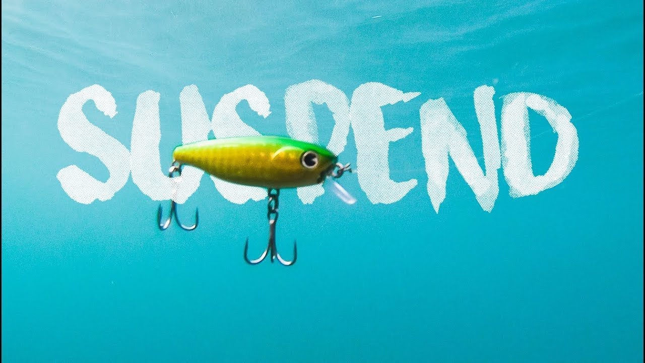 Factor CLAVE para PECES Reacios