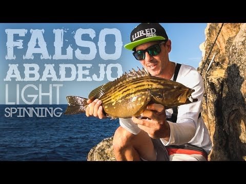 FALSO ABADEJO con equipo de LIGHT SPINNING | Lured Vlog 56