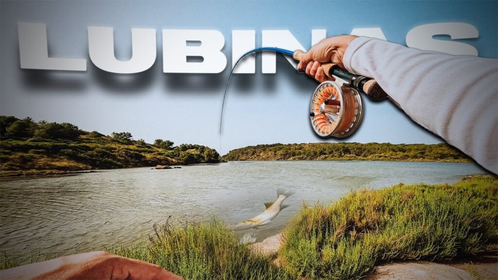 Festín de LUBINAS, Ultra DIFÍCILES a MOSCA | Lured Vlog 319