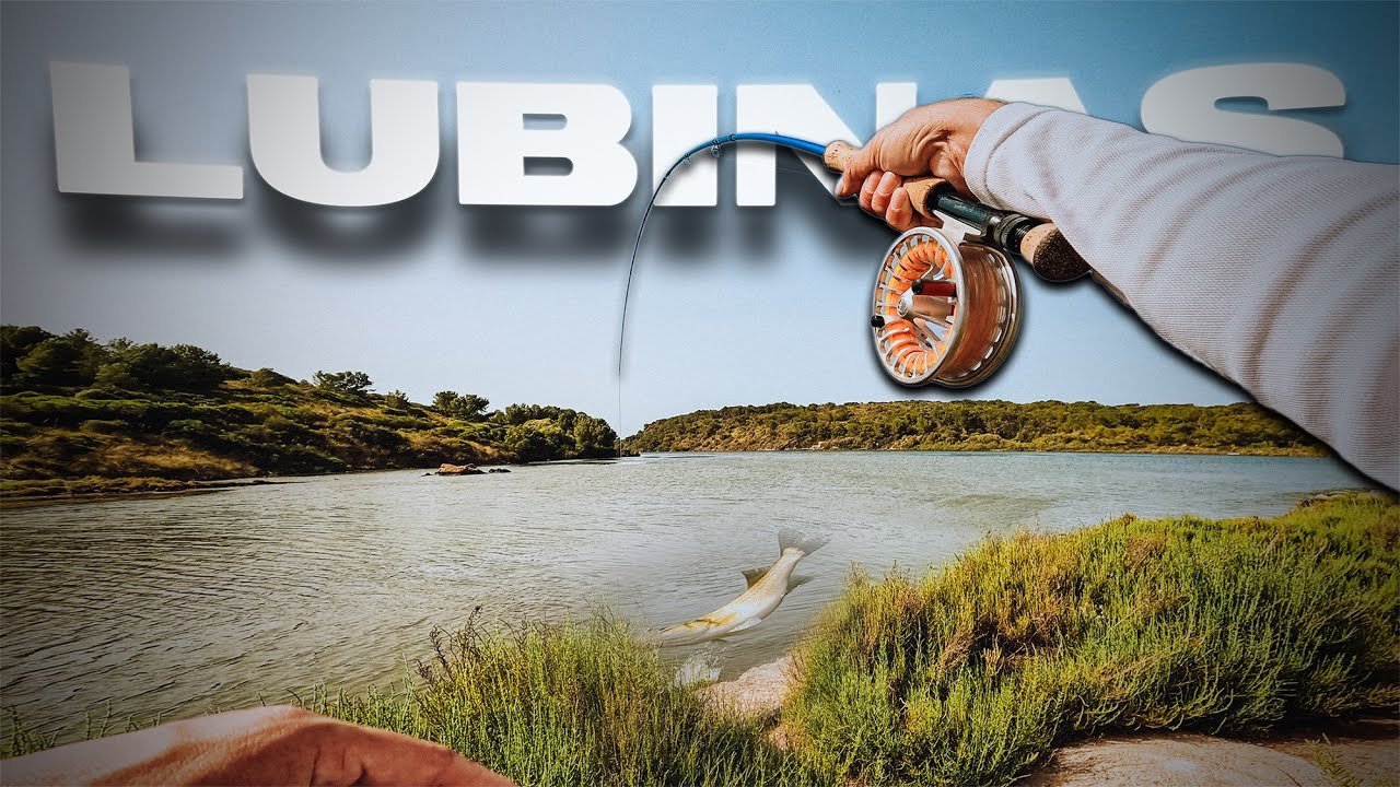 Festín de LUBINAS, Ultra DIFÍCILES a MOSCA | Lured Vlog 319