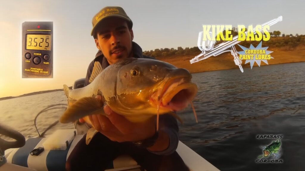 Gran barbo con calzador | HD