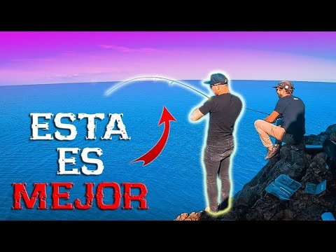 HARD ROCK vs WIND (Darting) | Review Cañas spinning