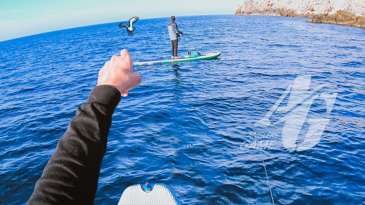 INCREÍBLE  Resultado   El que PIERDA REMOLCA al Ganador [Anglers Game] | #P8L1