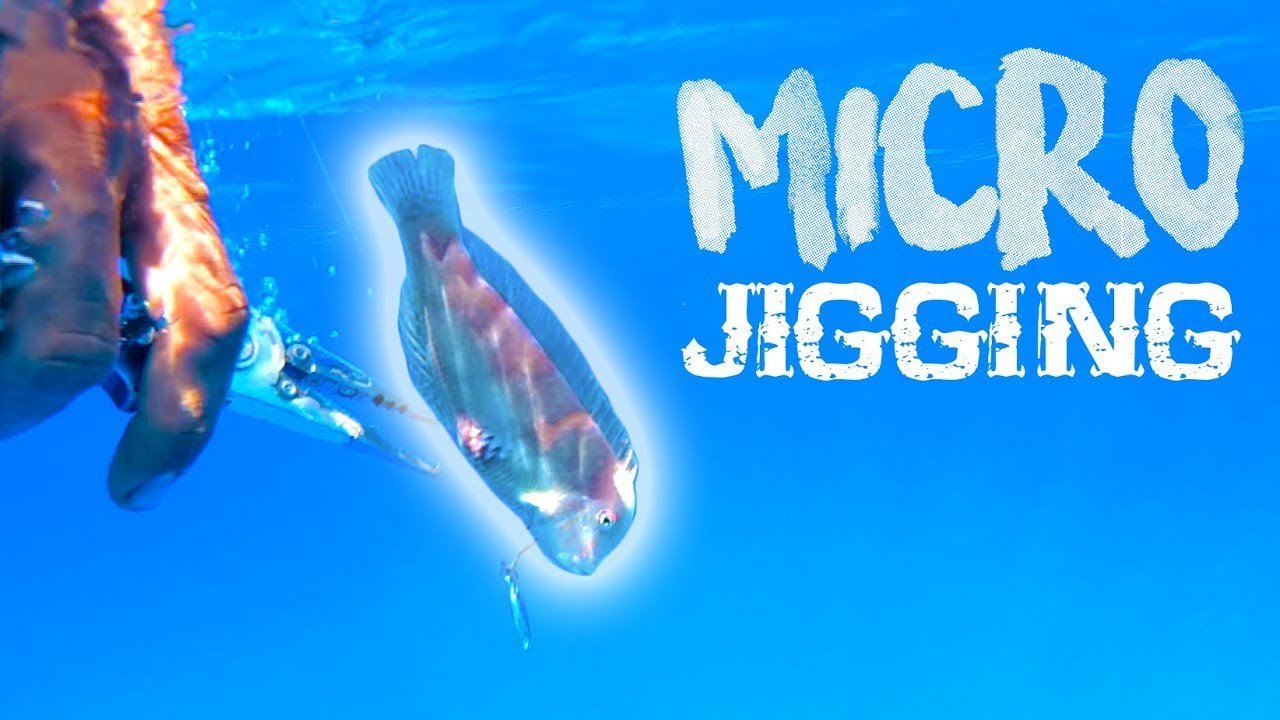 [JIGGING] LORITOS y SORPRESAS probando los JIGS MÁS PEQUEÑOS | Lured Vlog 101