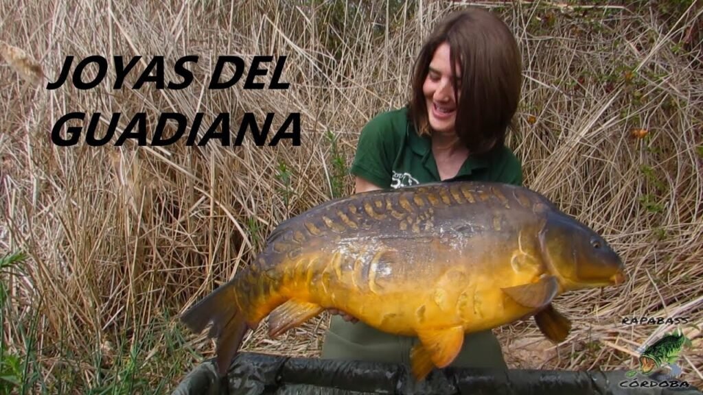 Joyas del Guadiana | VOL.1