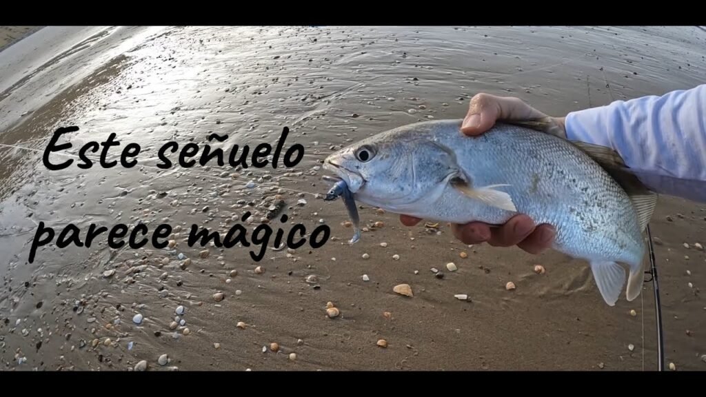 Jurelas y Corvinatas a Spinning en la  costa de Huelva.