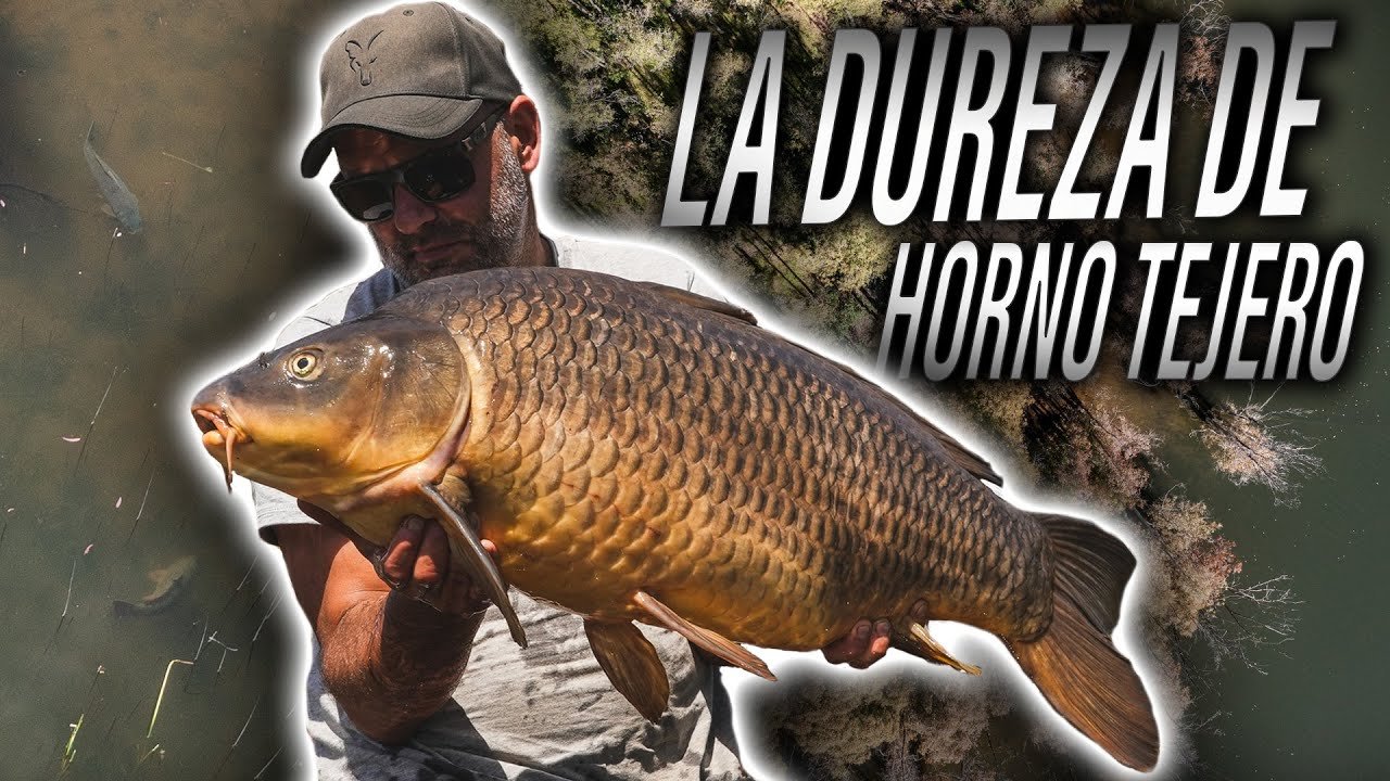 LA DUREZA DE HORNO TEJERO. CARPFISHING TV