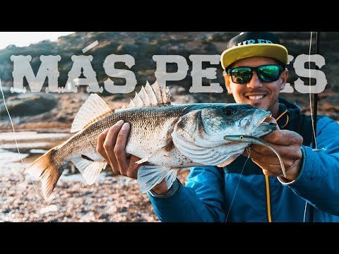La "TEORÍA" en la PESCA | Cómo capturar MÁS peces