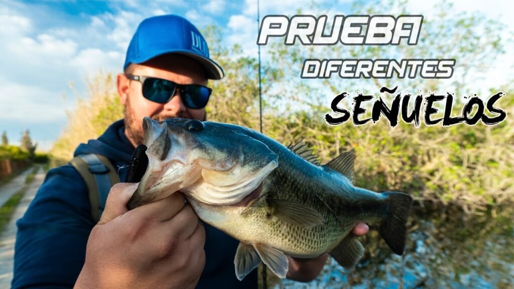 La 𝐈𝐌𝐏𝐎𝐑𝐓𝐀𝐍𝐂𝐈𝐀 de PROBAR diferentes SEÑUELOS...‼