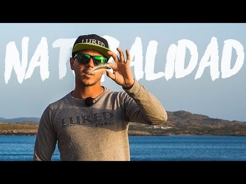 Las APARIENCIAS a veces ENGAÑAN | Naturalidad del MOVIMIENTO de los SEÑUELOS