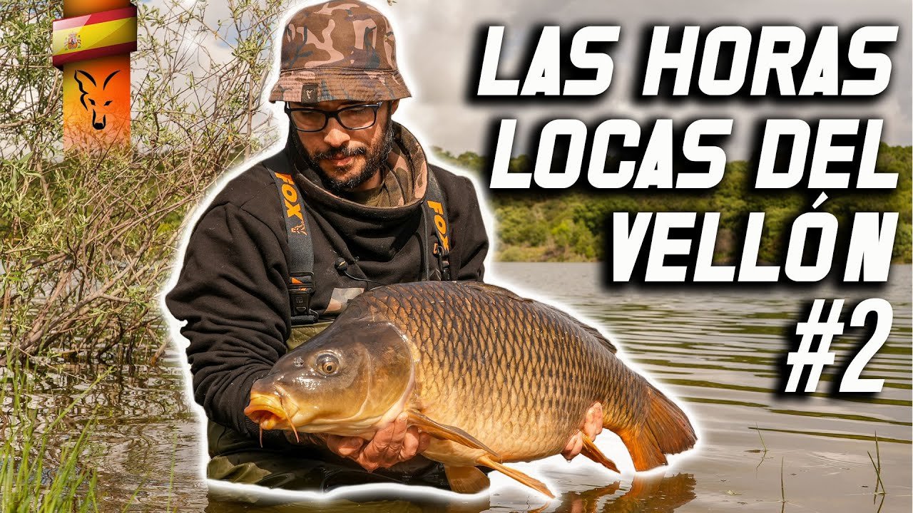 LAS HORAS LOCAS DEL VELLÓN #2. CARPFISHING TV