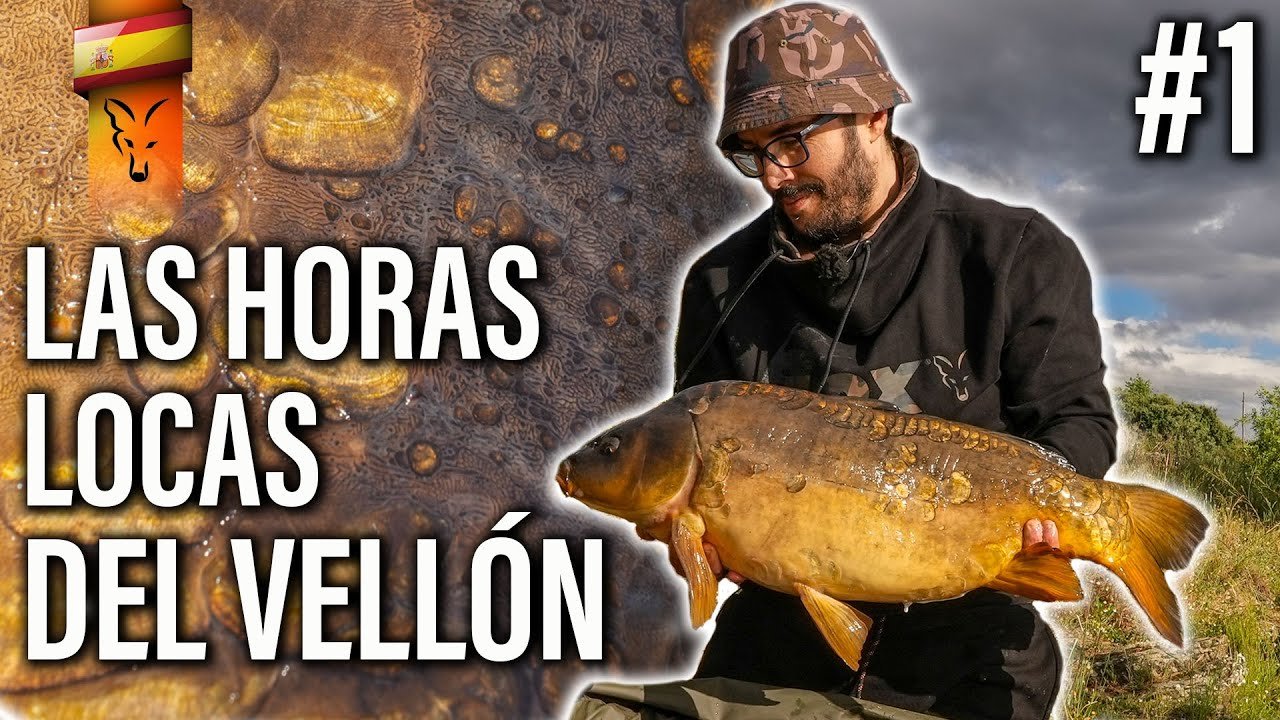 LAS HORAS LOCAS DEL VELLÓN. CARPFISHING TV
