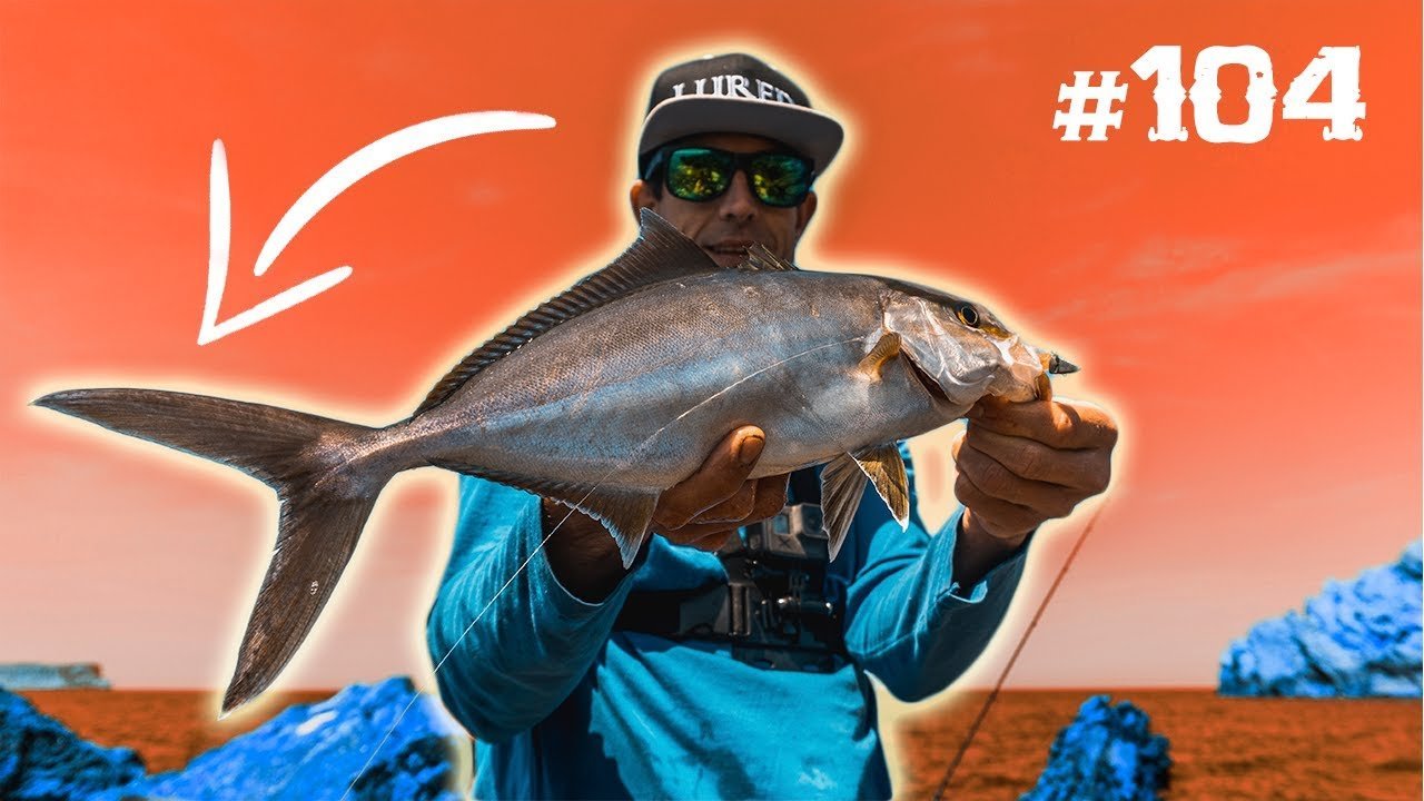 ¿LISTA de ESPECIES más POTENTES? ¿SOLUCIÓN VINILOS Derretidos? | Lured Q&A #104