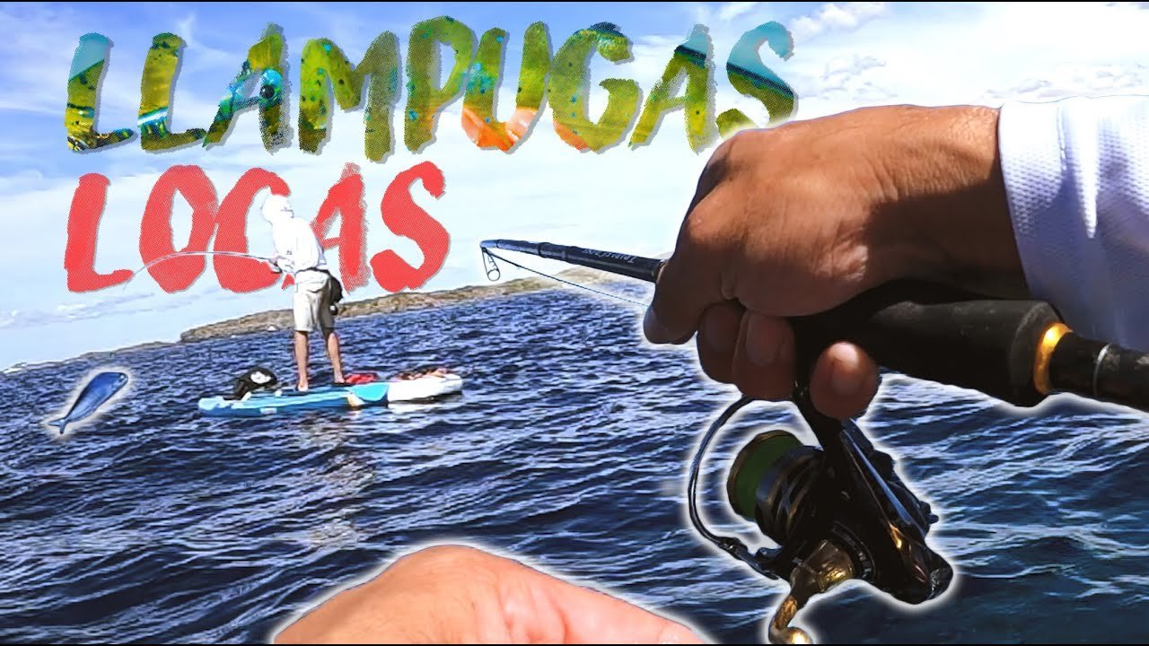 ¡¡LLAMPUGAS a ROCKFISHING!! desde PADDLE SURF | Lured Vlog 154