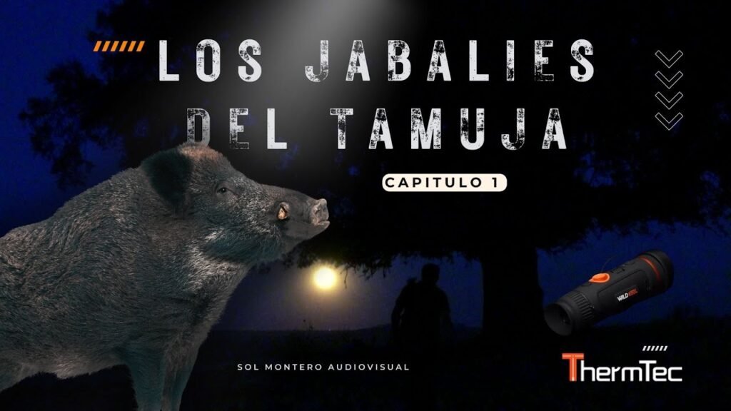 LOS JABALIES DEL TAMUJA | Capítulo 1 | Esperas de jabalí 🐗