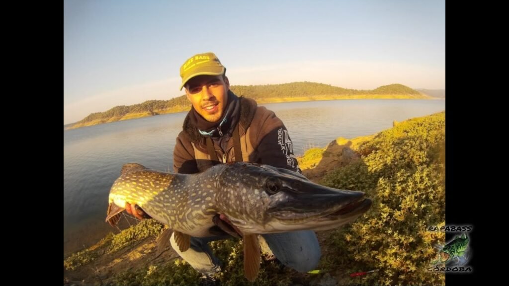 Lucio con Jerkbait | HD