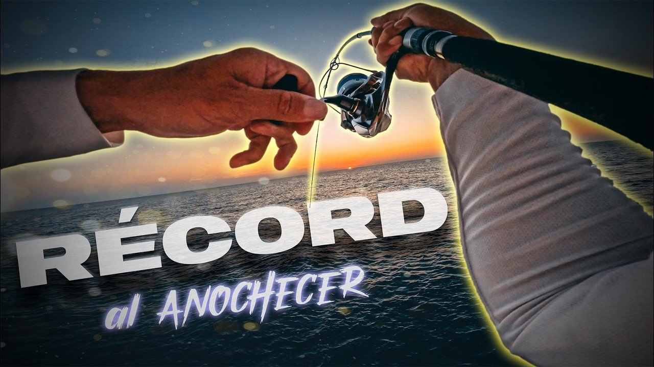 Máxima ACTIVIDAD en unos MINUTOS | Lured Vlog 325