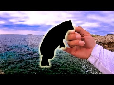 Me ABURRO de sacar la MISMA ESPECIE [DARTING] | Lured Vlog 97