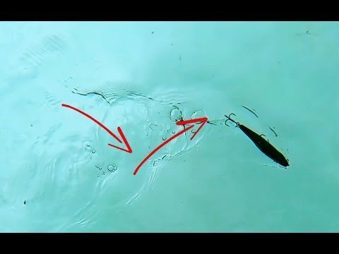 ¿MEJOR Recogida PASEANTES? ¿Nylon o Trenzado? | Lured Q&A