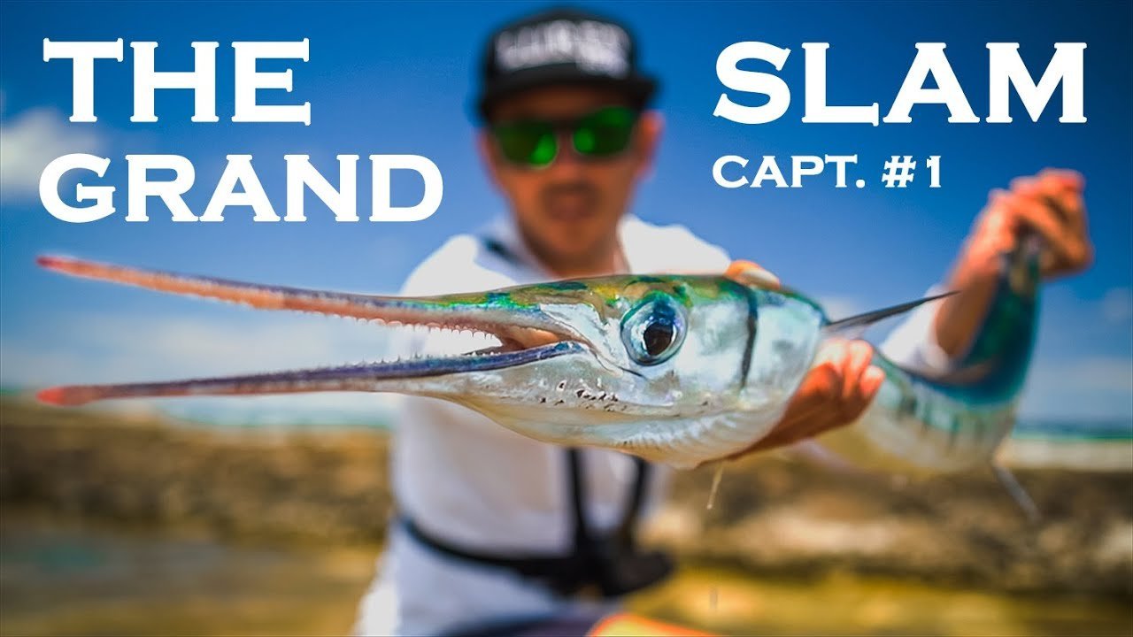 Mi   ✅ de AGUJA (Especie Rara) a SPINNING LIGERO [      # ] | Lured Vlog 141