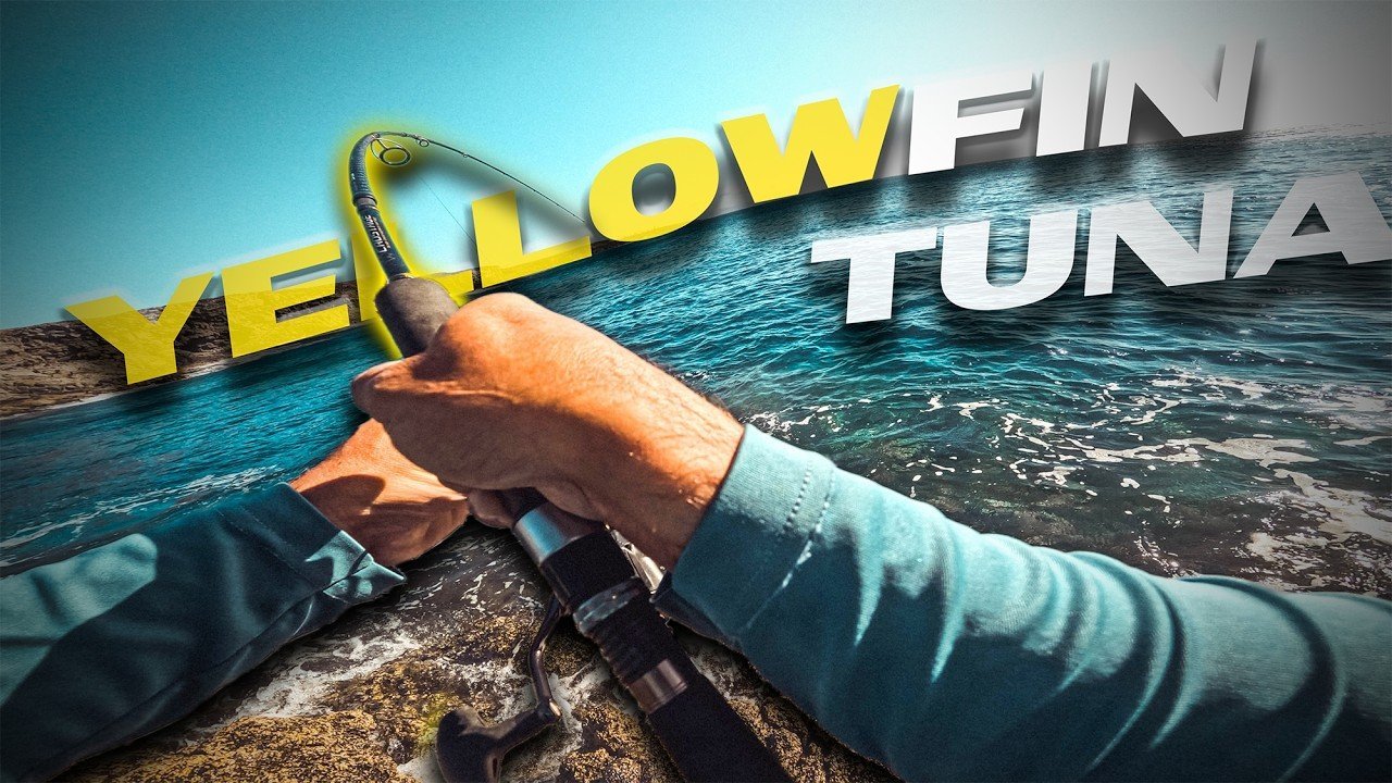 Mi PRIMER ATÚN de Aleta AMARILLA | Lured Vlog 336