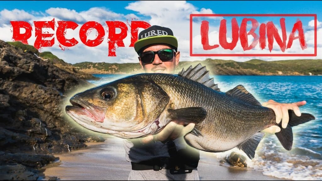 Mi RÉCORD de LUBINA en Superficie [Buscando Palometones XL pt. 2] | Lured Vlog 122