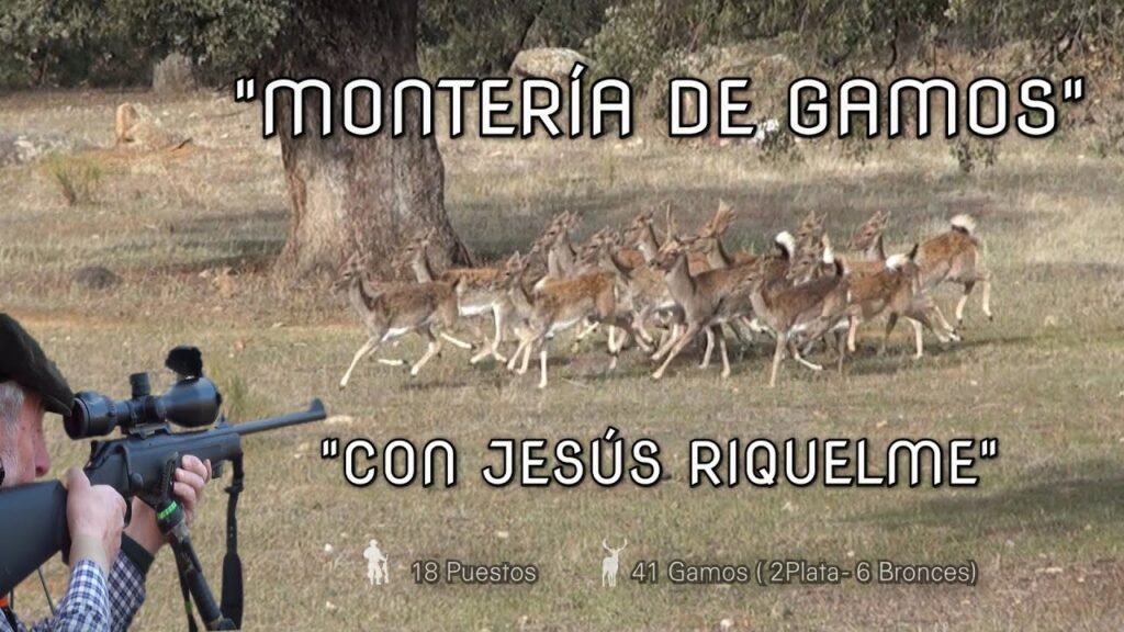 MONTERÍA DE GAMOS  CON JESUS RIQUELME