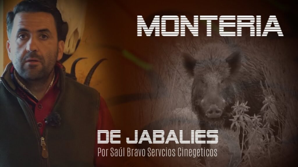 MONTERÍA DE JABALÍES 🐗 CON SAUL BRAVO 🇪🇸